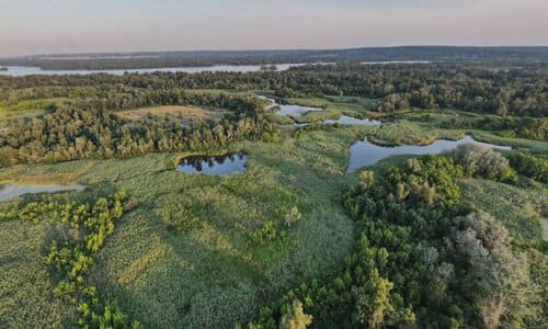 Дніпровсько-Орільський природний заповідник: що цікавого та адреса.