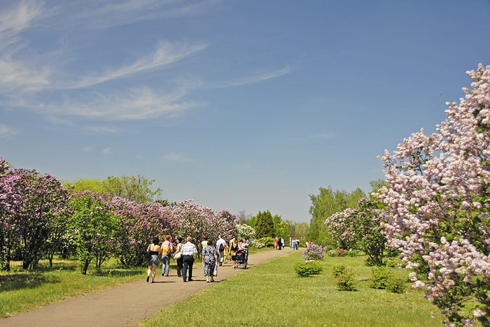 Криворожский ботанический сад