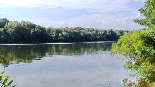 Дикі водойми