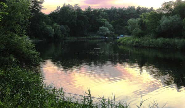 природа Самарского края на Днепропетровщине